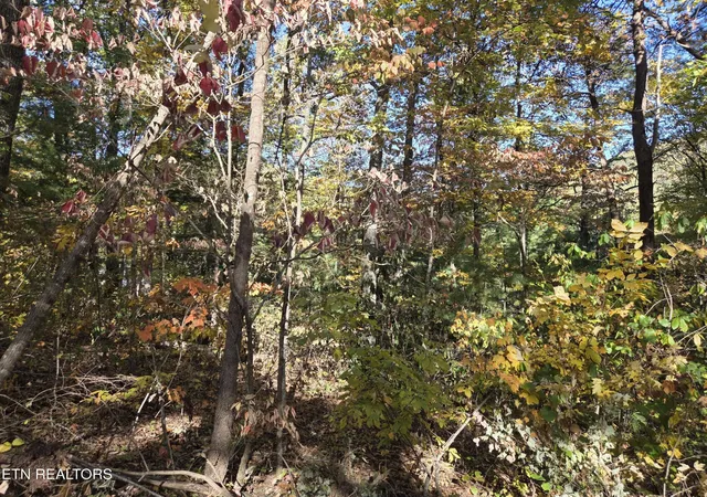 Photo 2 of Land for sale at 1211 Sourwood Honey Dr, Sevierville, TN 37876 | MLS# 3626367 | Listing updated on 2026-10-29