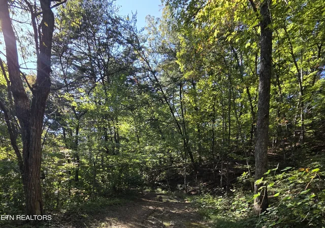 Photo 1 of Land for sale at 98 Redbud Ln, Sevierville, TN 37876 | MLS# 3626370 | Listing updated on 2026-10-29