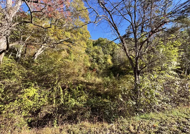Photo 1 of Land for sale at 0 Rex Way, Sevierville, TN 37876 | MLS# 3626467 | Listing updated on 2026-10-26