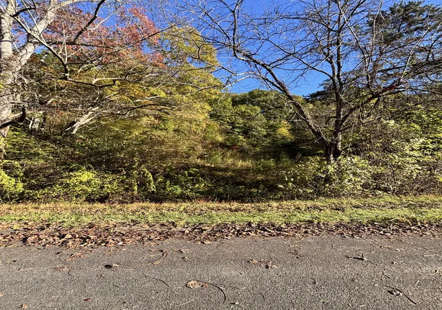 Photo 2 of Land for sale at 0 Rex Way, Sevierville, TN 37876 | MLS# 3626467 | Listing updated on 2026-10-26