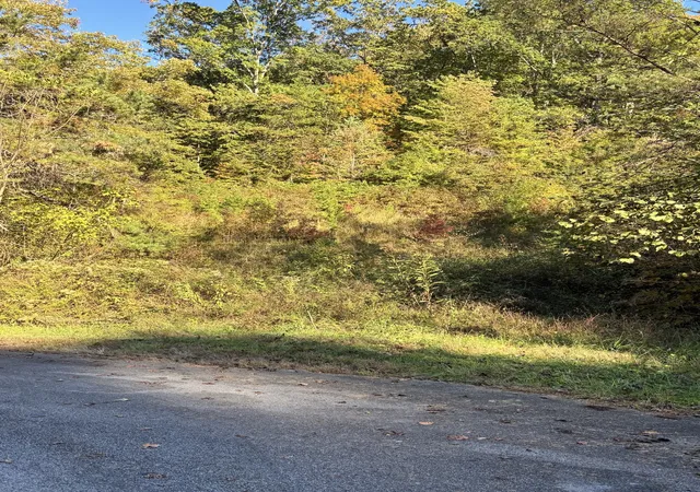 Photo 3 of Land for sale at 0 Rex Way, Sevierville, TN 37876 | MLS# 3626467 | Listing updated on 2026-10-26