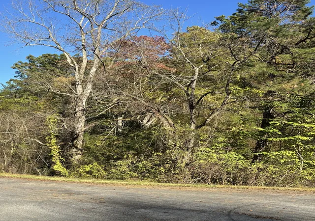 Photo 4 of Land for sale at 0 Rex Way, Sevierville, TN 37876 | MLS# 3626467 | Listing updated on 2026-10-26