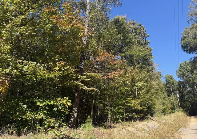 Photo 4 of Land for sale at 0 Mud Hl Rd, Dover, TN 37058 | MLS# 3626606 | Listing updated on 2026-10-27