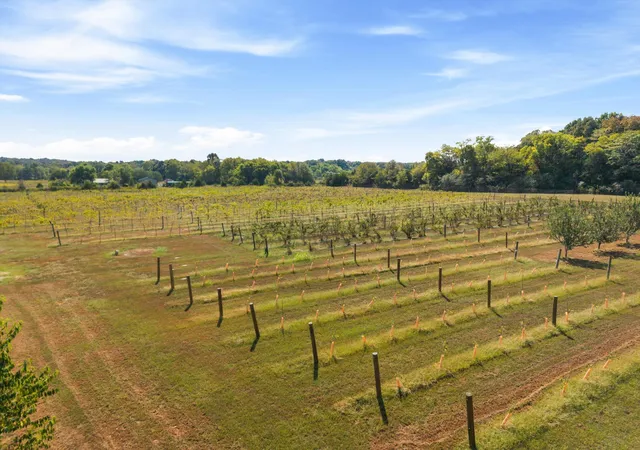 Photo 3 of Single family home for sale at 3595 Clark Rd, Lewisburg, TN 37091 | MLS# 3628017 | Listing updated on 2026-10-29