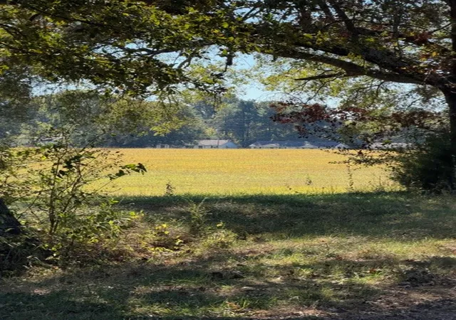 Photo 2 of Land for sale at 212 Oak St, Decherd, TN 37324 | MLS# 3626846 | Listing updated on 2026-10-26