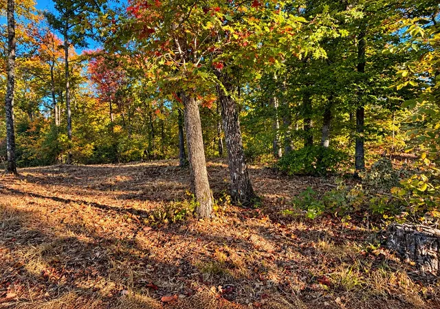 Photo 1 of Land for sale at 0 Backbone Rd, Sparta, TN 38583 | MLS# 3626908 | Listing updated on 2026-10-26