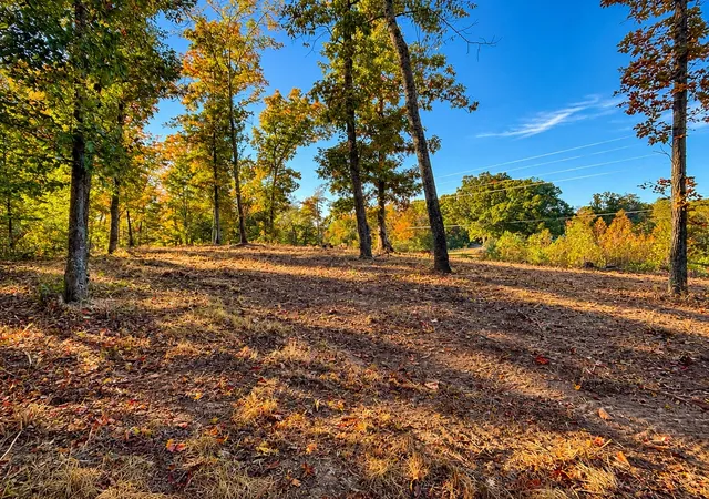 Photo 2 of Land for sale at 0 Backbone Rd, Sparta, TN 38583 | MLS# 3626908 | Listing updated on 2026-10-26