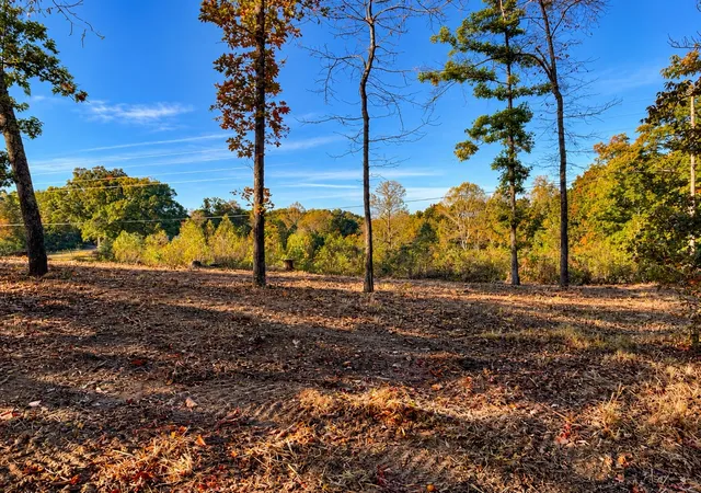 Photo 3 of Land for sale at 0 Backbone Rd, Sparta, TN 38583 | MLS# 3626908 | Listing updated on 2026-10-26