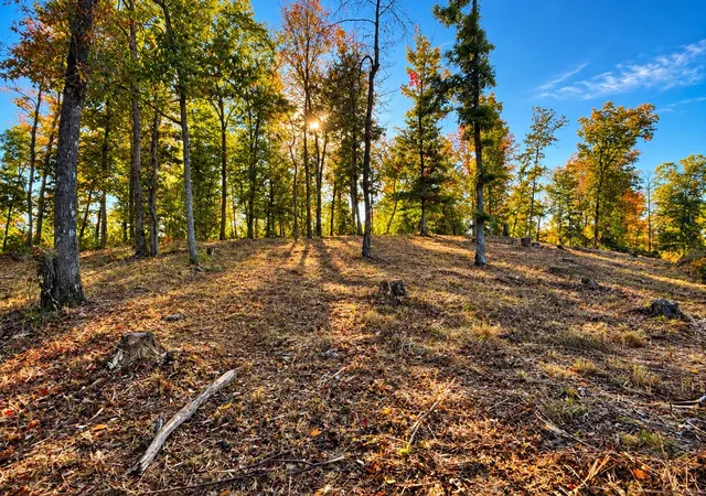Photo 4 of Land for sale at 0 Backbone Rd, Sparta, TN 38583 | MLS# 3626908 | Listing updated on 2026-10-26