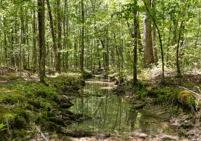 Photo 1 of Land for sale at 220 Gitty Up Ln, Bradyville, TN 37026 | MLS# 3627463 | Listing updated on 2026-10-28