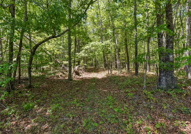 Photo 2 of Land for sale at 220 Gitty Up Ln, Bradyville, TN 37026 | MLS# 3627463 | Listing updated on 2026-10-28