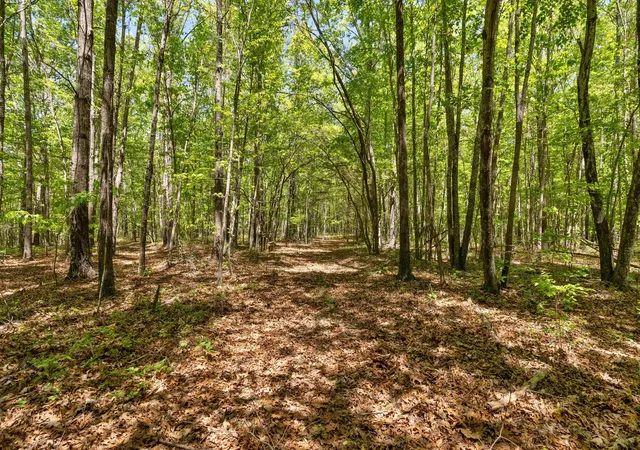 Photo 3 of Land for sale at 220 Gitty Up Ln, Bradyville, TN 37026 | MLS# 3627463 | Listing updated on 2026-10-28