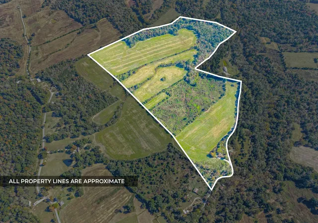 Land for sale at 430 Eli Rd, Dawson Springs, KY 42408 | MLS# 3627807