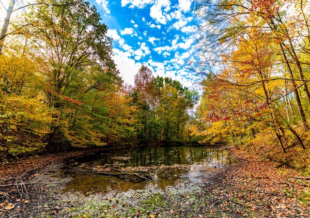 Land for sale at 0 Robinson Rd, Thompsons Station, TN 37179 | MLS# 3628100