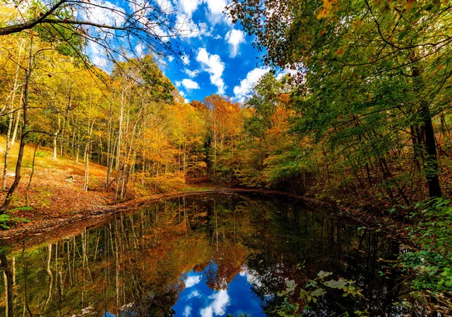 Photo 2 of Land for sale at 0 Robinson Rd, Thompsons Station, TN 37179 | MLS# 3628100 | Listing updated on 2026-10-28
