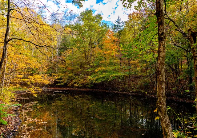 Photo 3 of Land for sale at 0 Robinson Rd, Thompsons Station, TN 37179 | MLS# 3628100 | Listing updated on 2026-10-28