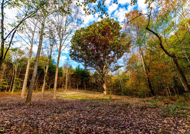 Photo 4 of Land for sale at 0 Robinson Rd, Thompsons Station, TN 37179 | MLS# 3628100 | Listing updated on 2026-10-28