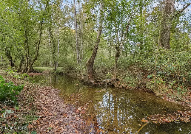 Photo 4 of Single family home for sale at 142 Lambdin Rd, Maynardville, TN 37807 | MLS# 3627717 | Listing updated on 2026-10-28
