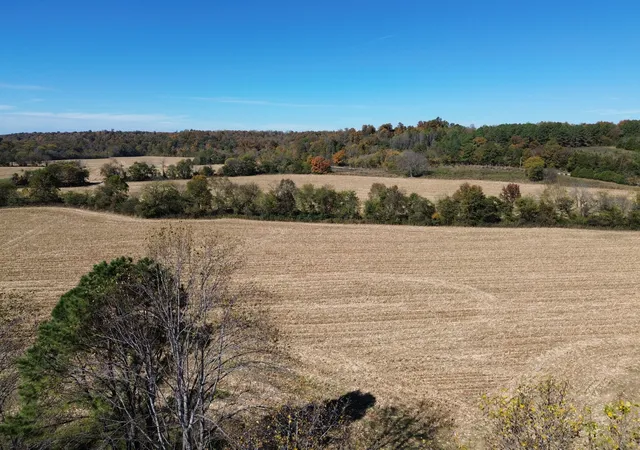 Photo 4 of House for sale at 170 Edwards Ct, Mc Ewen, TN 37101 | MLS# 3627971 | Listing updated on 2026-10-28