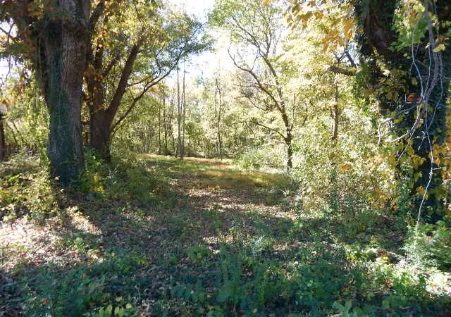 Photo 1 of Land for sale at 0 Mt Leo Hts, Mc Minnville, TN 37110 | MLS# 3629672 | Listing updated on 2026-10-30