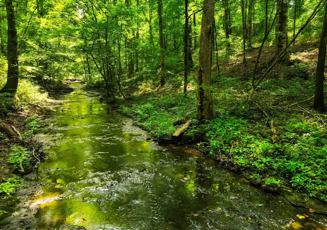 Photo 3 of Land for sale at 7393 S Harpeth Rd, Franklin, TN 37064 | MLS# 3629570 | Listing updated on 2026-10-30