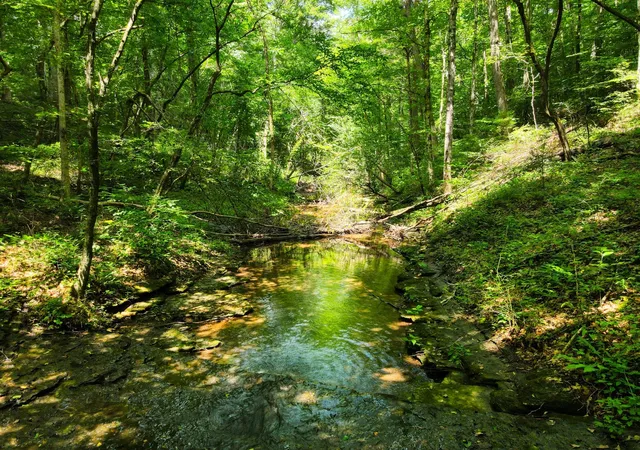 Photo 4 of Land for sale at 7393 S Harpeth Rd, Franklin, TN 37064 | MLS# 3629570 | Listing updated on 2026-10-30