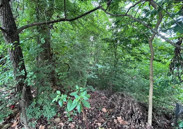 Photo 3 of Land for sale at 322 Hannah Ln, Hixson, TN 37343 | MLS# 3629848 | Listing updated on 2026-10-30