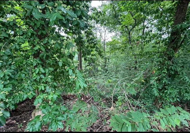 Photo 4 of Land for sale at 322 Hannah Ln, Hixson, TN 37343 | MLS# 3629848 | Listing updated on 2026-10-30