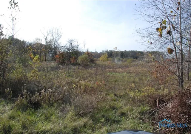 Photo 3 of Land for sale at 0 Waterwood Dr, Swanton, OH 43558 | MLS# 6122407 | Listing updated on 2025-12-18