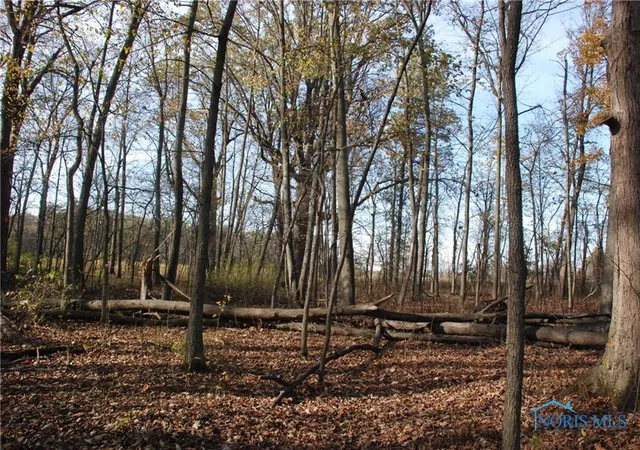 Photo 3 of Land for sale at 0 Waterwood Dr, Swanton, OH 43558 | MLS# 6122407 | Listing updated on 2025-12-18