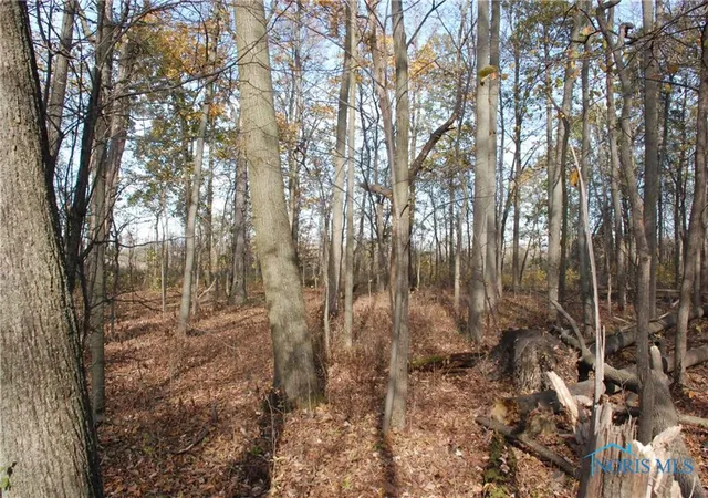 Photo 4 of Land for sale at 0 Waterwood Dr, Swanton, OH 43558 | MLS# 6122407 | Listing updated on 2025-12-18