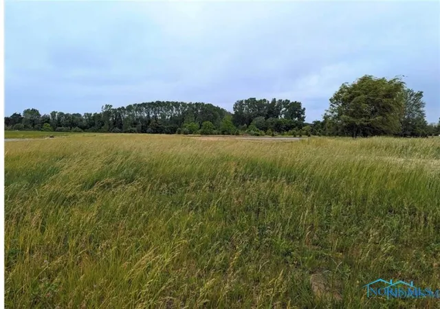Photo 3 of Sale Pending at 0 Lot 35 Savannah Lake Blvd, Whitehouse, OH 43571 | MLS# 6123593 | Listing updated on 2025-12-23