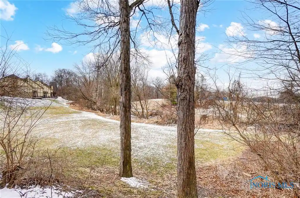 Listing Photo 46 - Condo for sale in 1562 Saddlebrook Ct located at 1562 Saddlebrook Ct, Toledo, OH 43615 - Unit 1562 Saddlebrook Ct