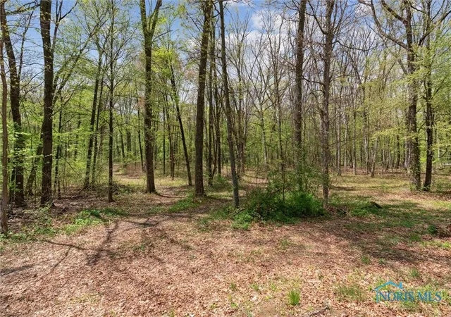 Photo 3 of Single family home for sale at 12500 County Road L, Wauseon, OH 43567 | MLS# 6129336 | Listing updated on 2025-10-17