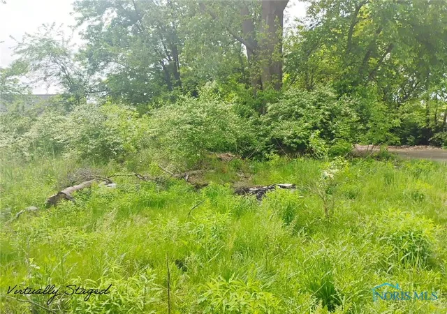 Photo 1 of Land for sale at 365 Canal Ave, Toledo, OH 43609 | MLS# 6130544 | Listing updated on 2025-10-14