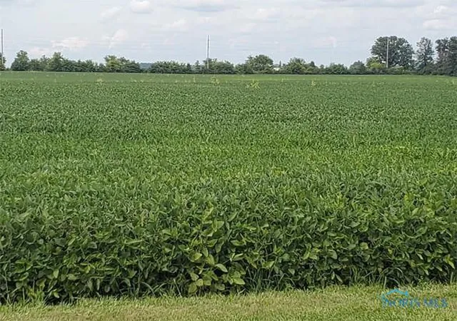 2nd image of 0 State Hwy 53, Upper Sandusky, OH 43351 | MLS# 6132082