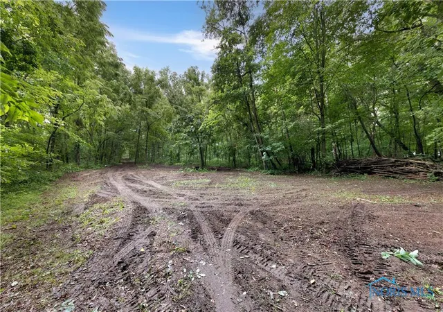 Homes for sale in Wauseon, OH | 0 County Road L, Wauseon, OH 43567 | MLS# 6133663