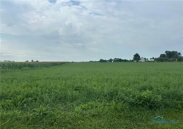 2nd image of 0 Township Road 175, Vanlue, OH 45890 | MLS# 6134494