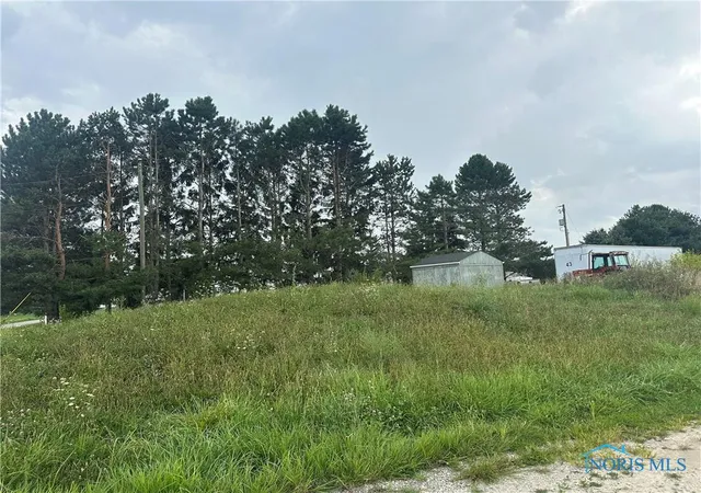 image of 0 Township Road 175, Vanlue, OH 45890 | MLS# 6134494