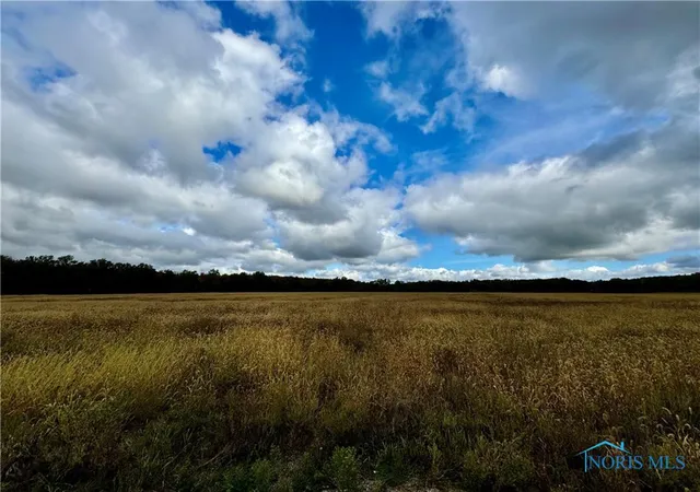 1st image of 0 Switzer Rd, Defiance, OH 43512 | MLS# 6135482