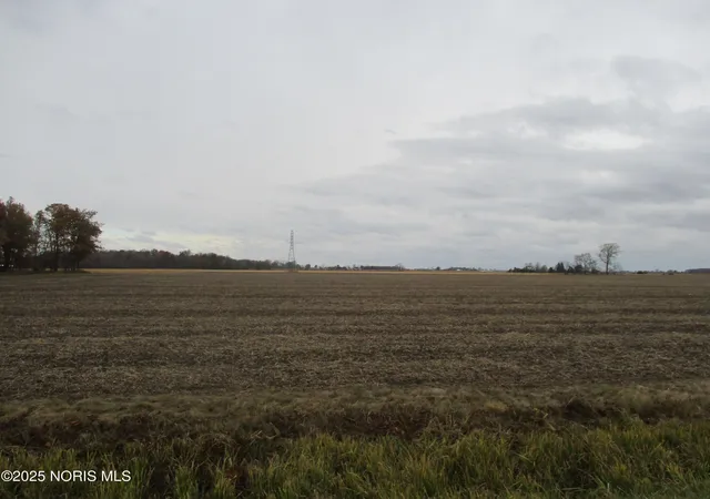 Photo 3 of Land for sale at County Road V, Napoleon, OH 43545 | MLS# 10000866 | Listing updated on 2025-10-31