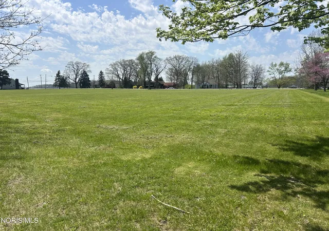 Homes for sale in Graytown, OH | N Walker St, Graytown, OH 43432 | MLS# 10002935