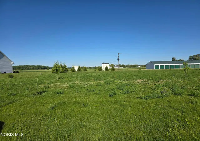 Homes for sale in Lyons, OH | 0 Sawmill Rd, Lyons, OH 43533 | MLS# 10008859