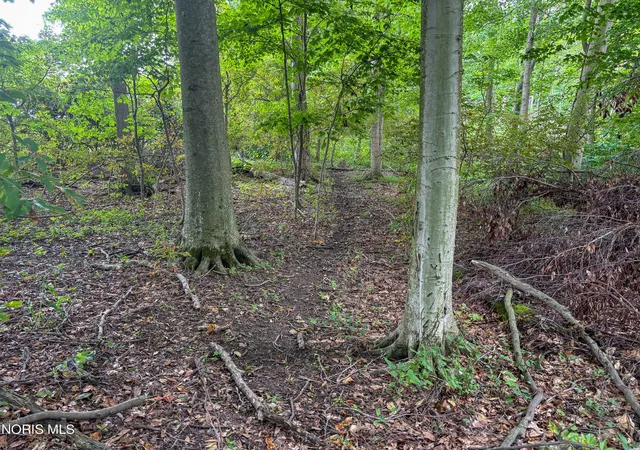 Homes for sale in Hicksville, OH | 0 State Route 2, Hicksville, OH 43526 | MLS# 10009952