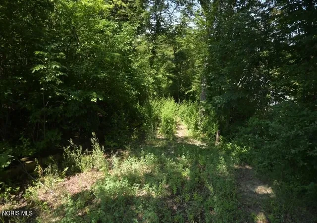23rd image of 0 W River Rd, Grand Rapids, OH 43522 | MLS# 10010210