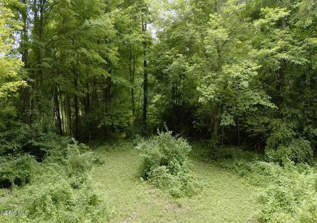 36th image of 14231 Sherman White Rd, Swanton, OH 43558 | MLS# 10010258