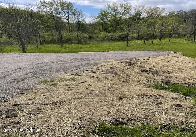 Homes for sale in Willard, OH | 4357 W Townline Road 12, Willard, OH 44890 | MLS# 10010419