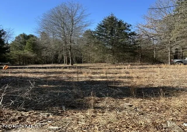 4th image of 4655 Whitehouse Spencer Rd, Monclova, OH 43542 | MLS# 10010446