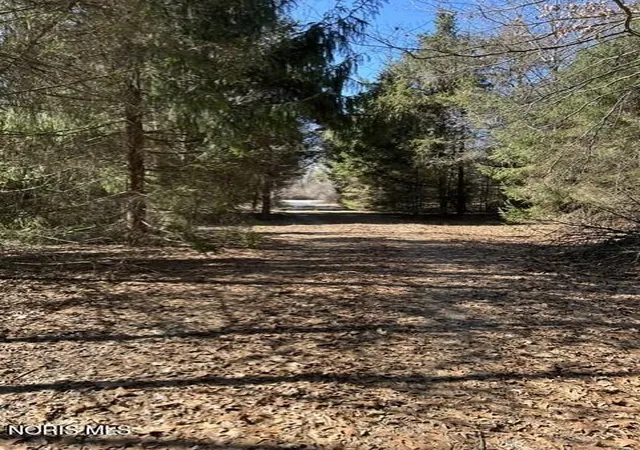 5th image of 4655 Whitehouse Spencer Rd, Monclova, OH 43542 | MLS# 10010446