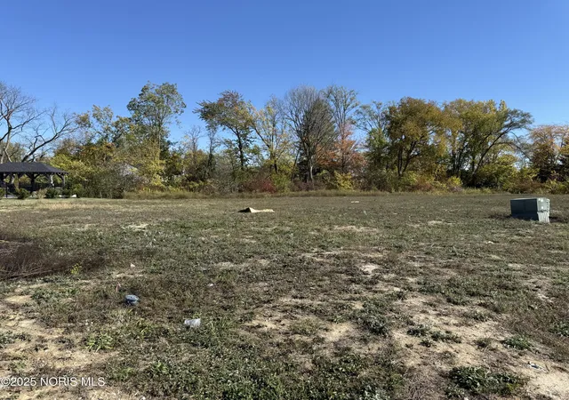 Photo 3 of Land for sale at 5641 Olive Tree Ln, Monclova, OH 43542 | MLS# 10011077 | Listing updated on 2026-07-27